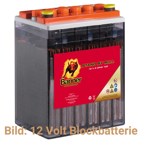 SWISSsolar professional 75 - Solarbatterie 12 Volt - 63 Ah